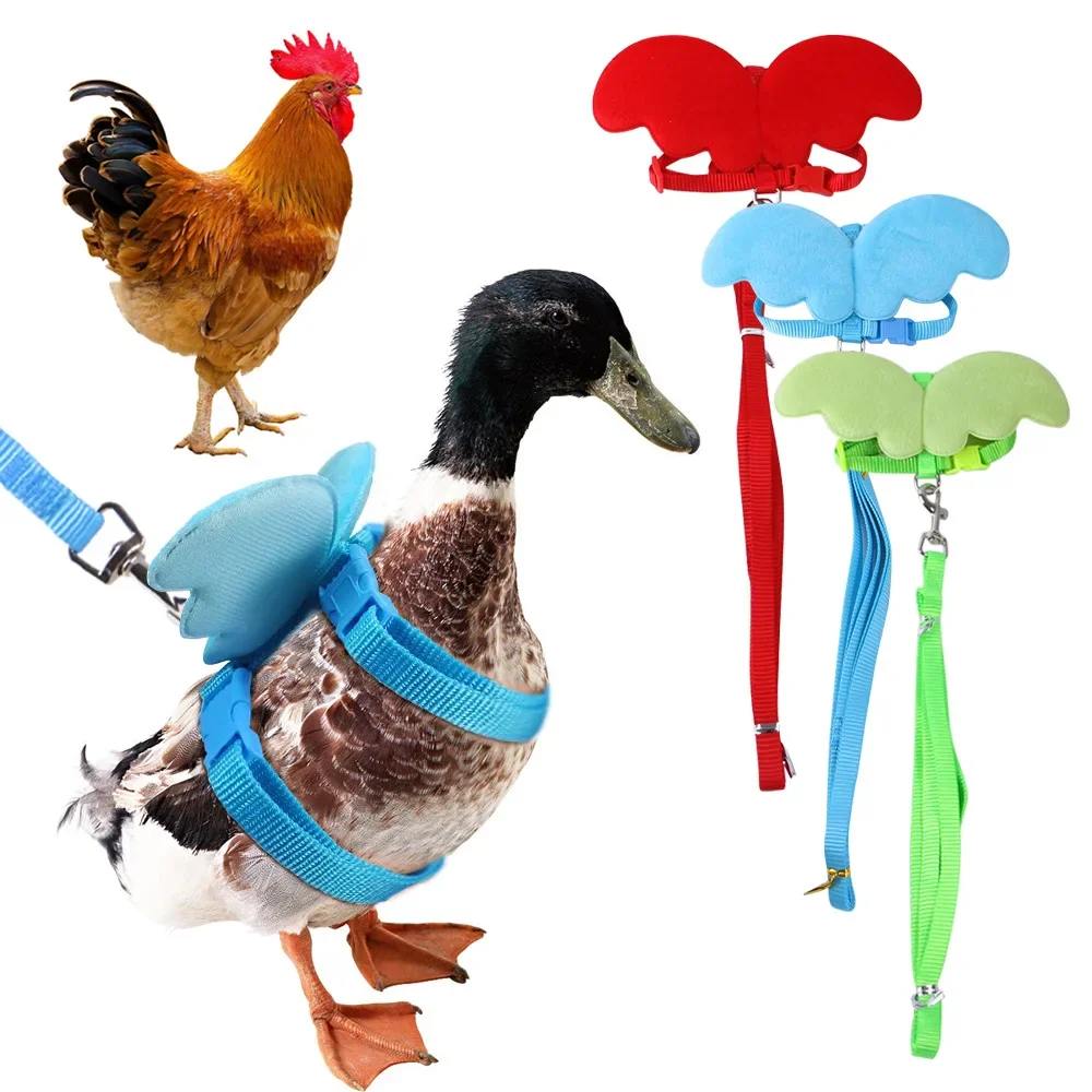 

Pet Supplies New Cherub Wings Breast Strap Lead Rope Chicken Duck Goose Breast Strap Out Lead Rope Animaux Accessoires