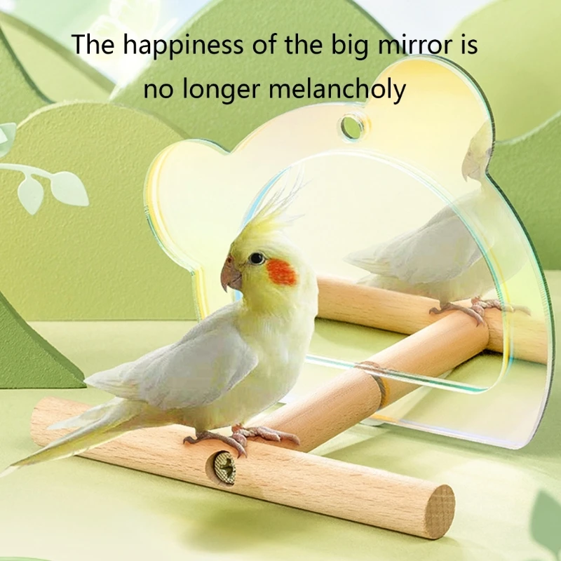 Parrot Mirror with Perch Stands Birds Stand Pole Natural Wooden Grinding Branch Paw Climbing Standing