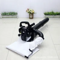 38CC Gasoline Air Blower EBV3500 Snow Blower Cleaning Portable Leaf Blower Dual Four Stroke Wireless Garden Tools 1