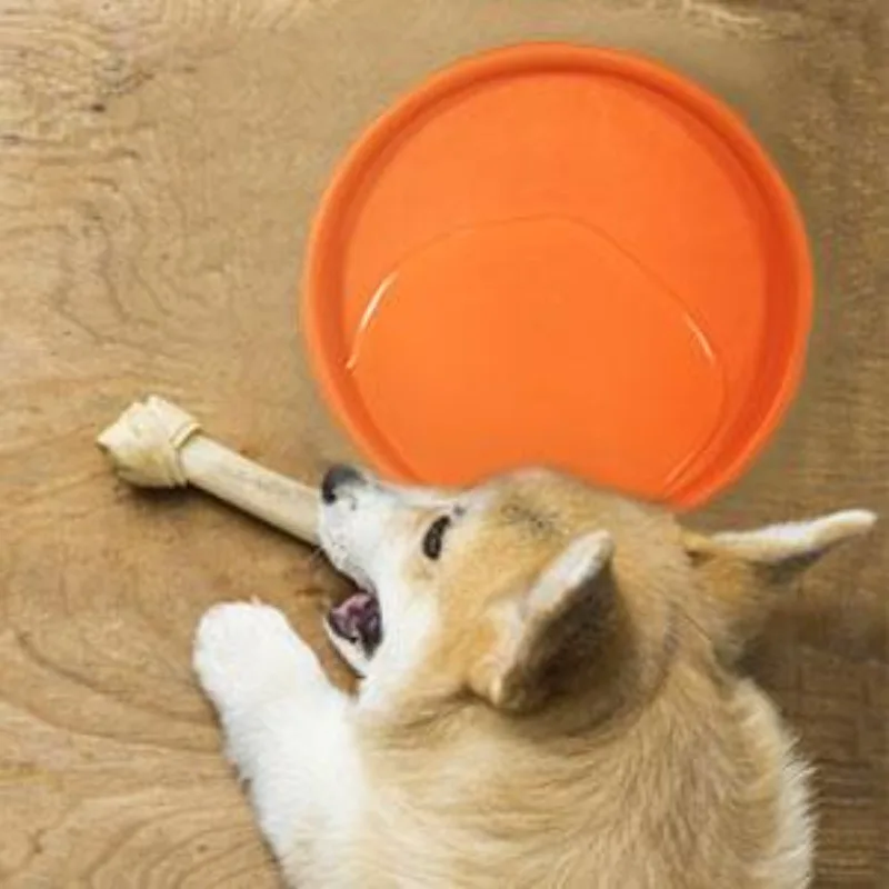 Feeding water