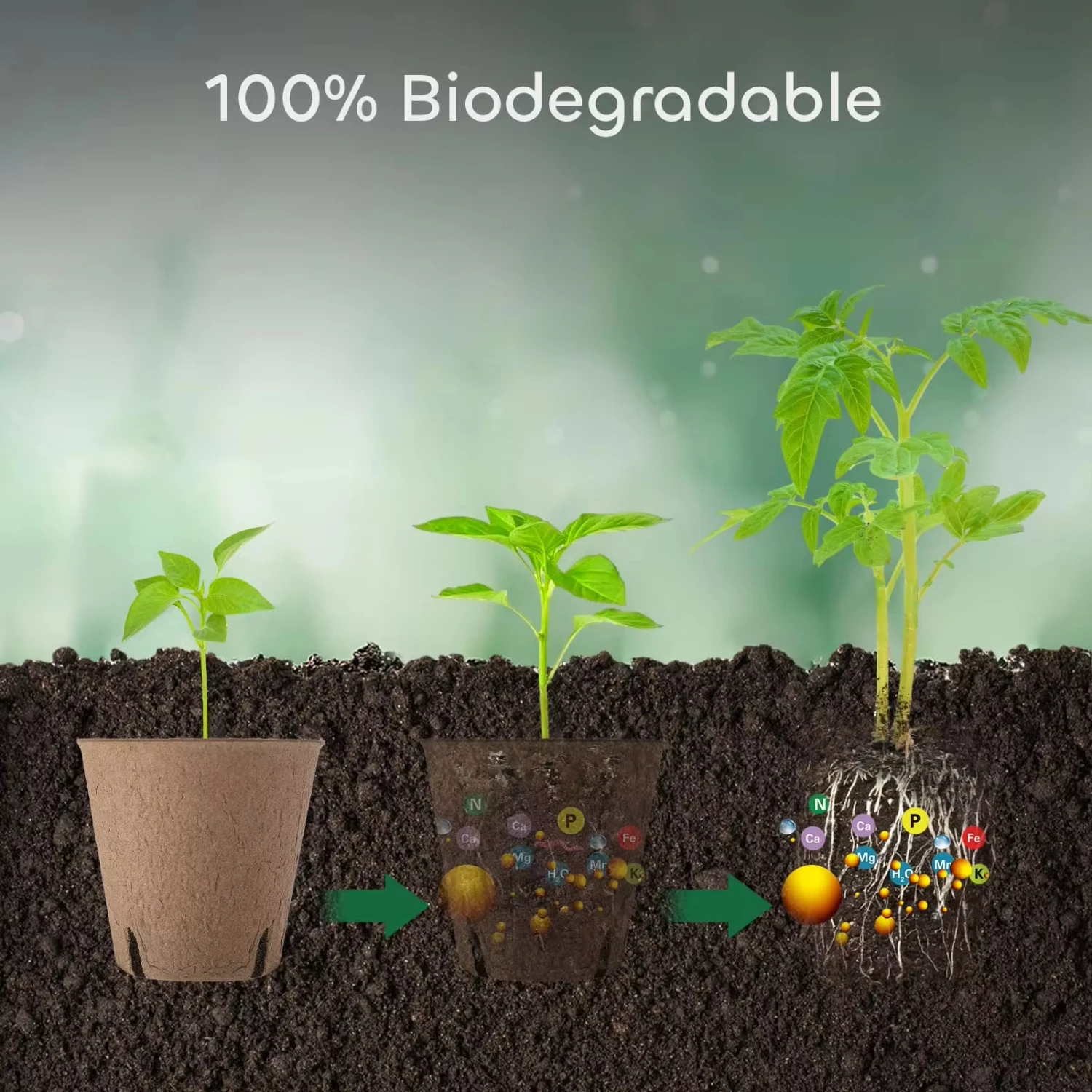 New 50 Packs 3 Inch Peat Pots Plant Starters  Seedling with 15 Pcs Plant Labels, Biodegradable Herb Seed Starter Pots Kits 4
