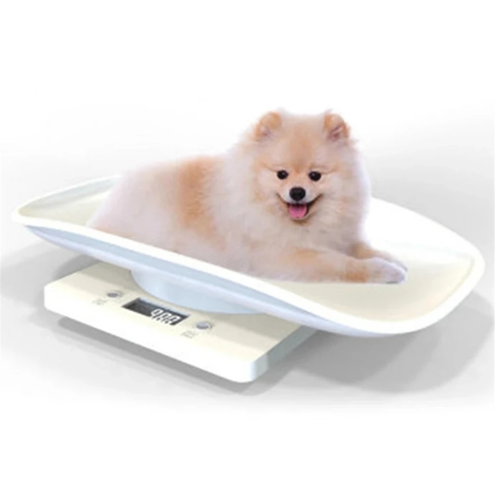 ミニペット用体重計 10kg 猫 犬 デジタルキッチンスケール 防水 赤ちゃん用 体重計29x21x5cm キッチンスケール Aliexpress ミニペット用体重計 10kg 猫 犬 デジタルキッチンスケール 防水 赤ちゃん用 体重計29x21x5cm キッチンスケール Aliexpress