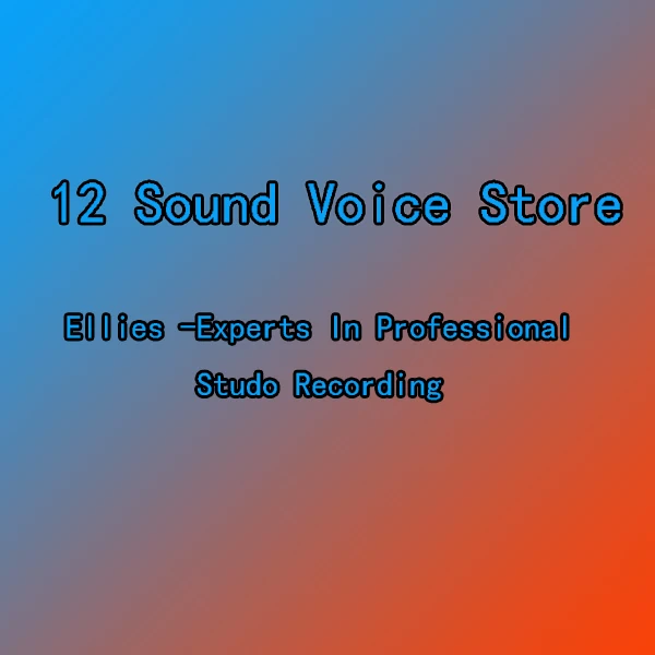 Erilles 12 Sound Voice Store