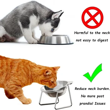 Tilted Stainless Pet Bowl 3