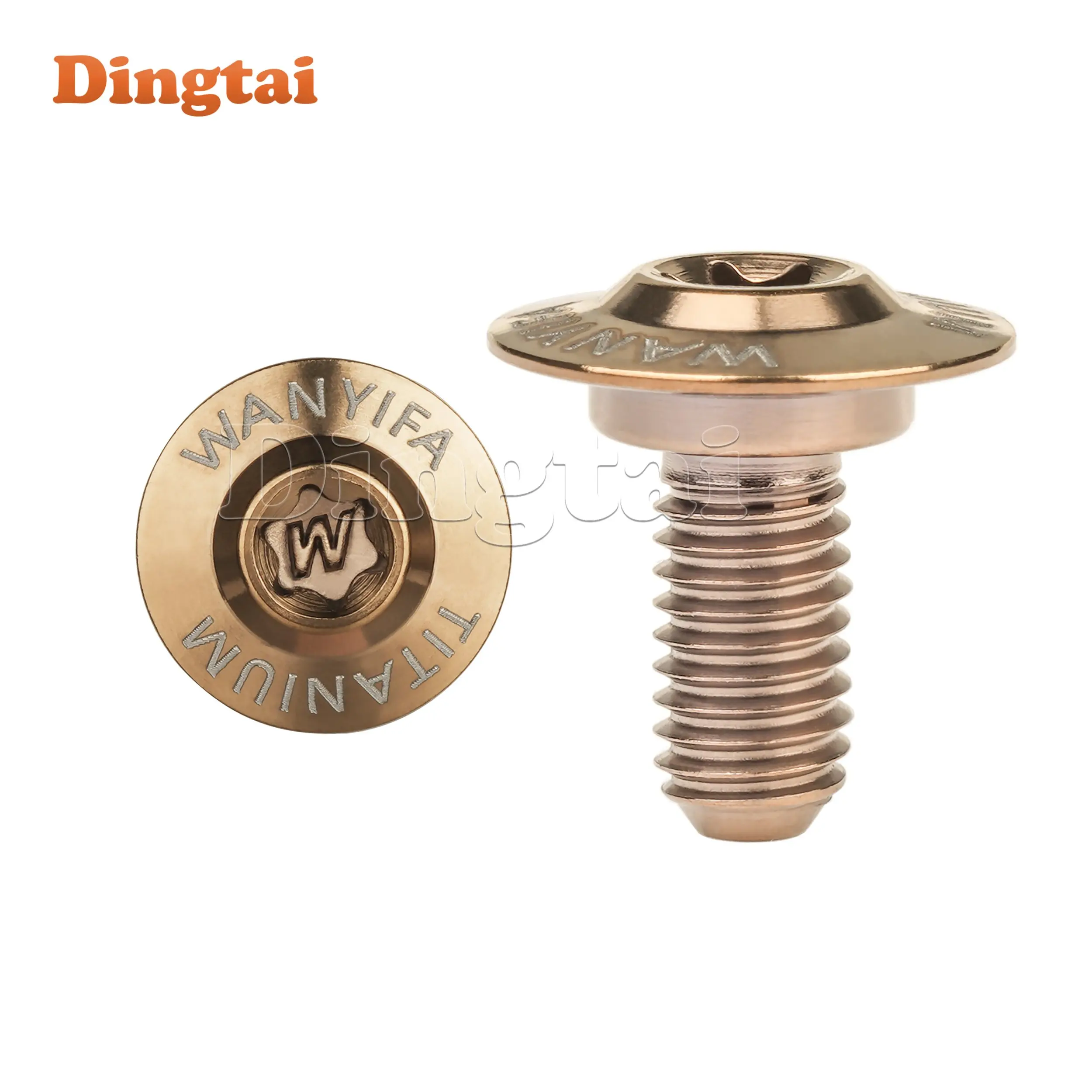 High-Strength Dingtai Titanium Alloy Step Bolt for Electric Motorcycle Side Plate