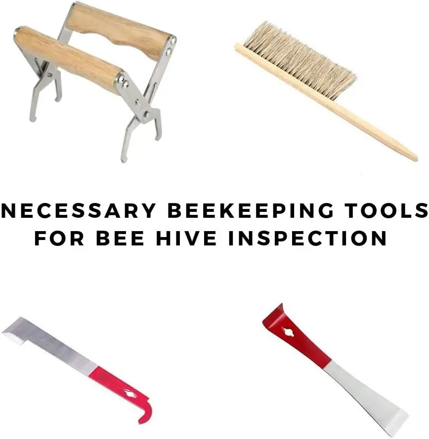 Beekeeping Supplies Beekeeping Tools Set Bee Hive Smoker Kit Cultivating Box Beehive Water Feeder Equipment 9 Pcs