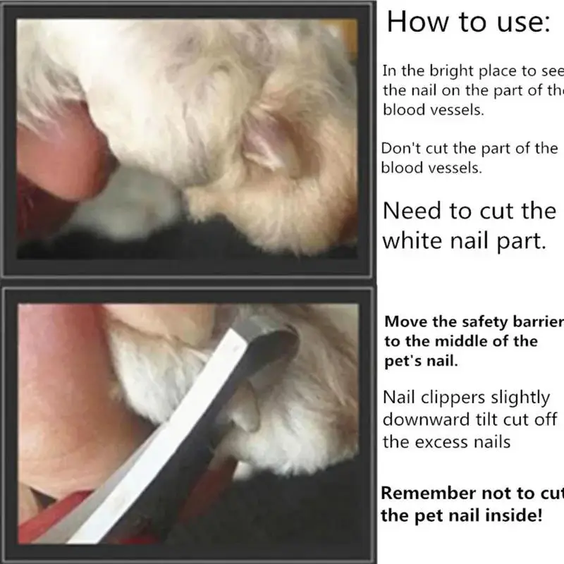 Pet Scissors Dog and Cat Animal Toenail Grooming Tools