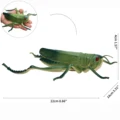 Grasshopper