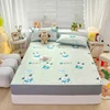 2024 Spring/summer New Printed Soft Mat Bed Hat Cartoon Cool Bed Cover Student Adult All-purpose Single Bed with Elastic Sheets 2