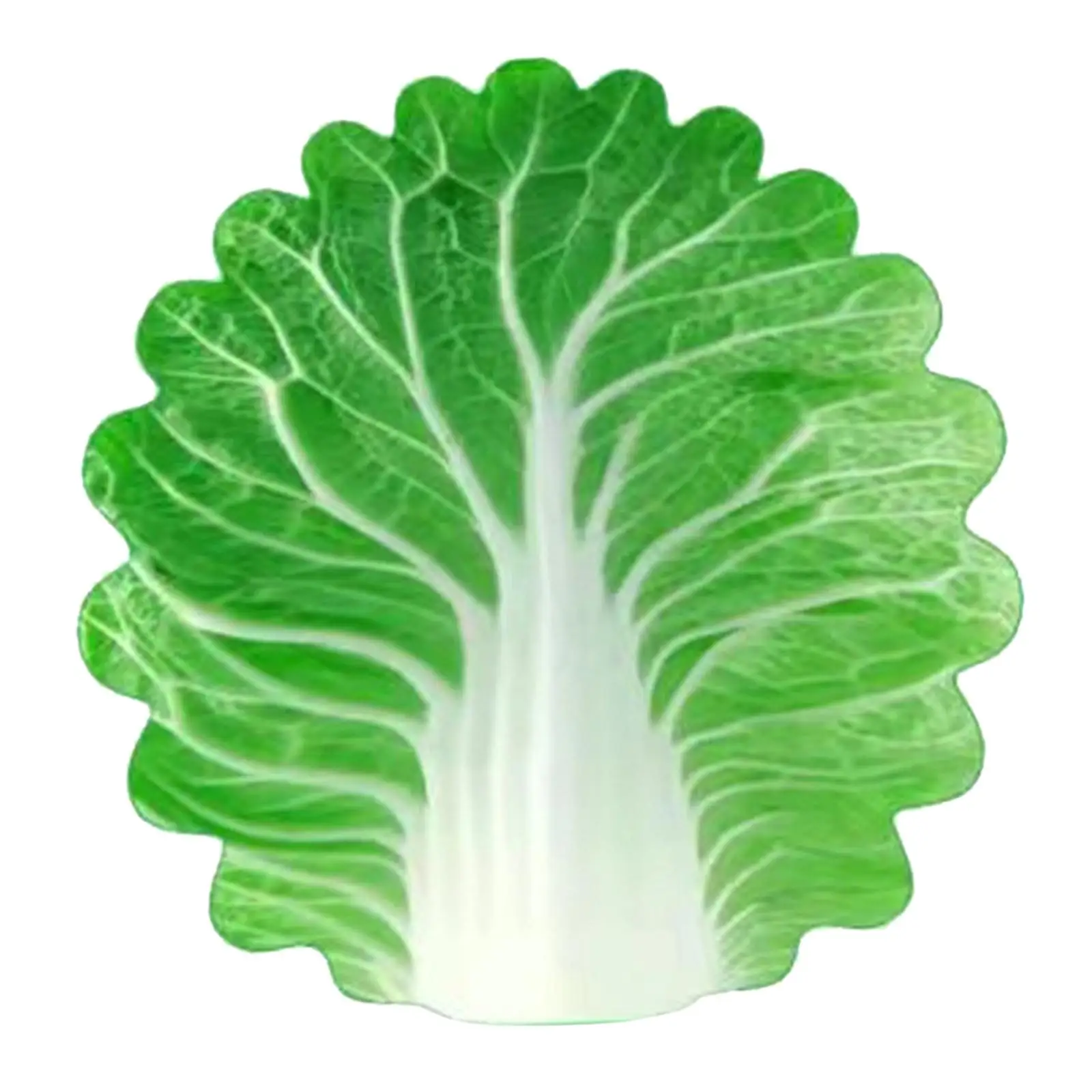  ����� ��� ������ ��� ���, ��Ź ������ �ε巯�� �ö���, ���� ����Ʈ,  �����, ���� �� ���ƿ�