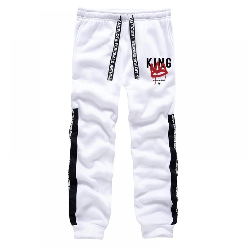Men's Casual Streetwear Hoodie Sweatpants All Season Sportswear
