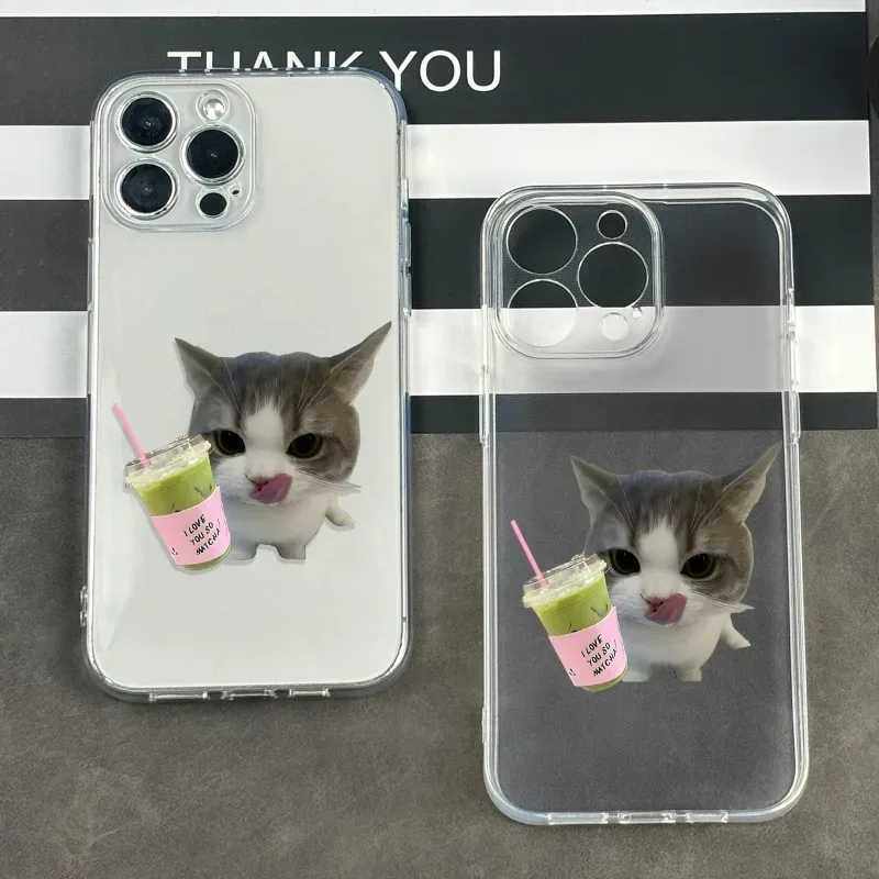 Charming Cat Design Shockproof Transparent Phone Case Cover