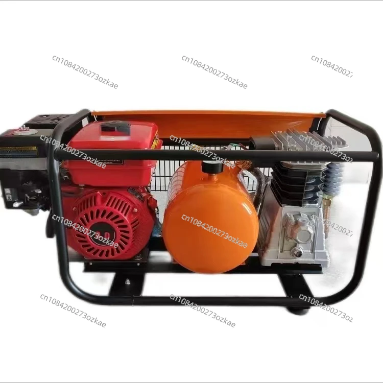 

Gasoline Air Compressor Air Pump Submersible Stainless Steel Tank Butter Spray Paint Repair Car Tire Repair Inflatable Mobile