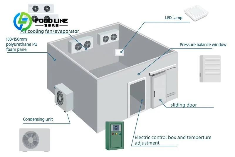 Portable Electric Cold Storage Container 6