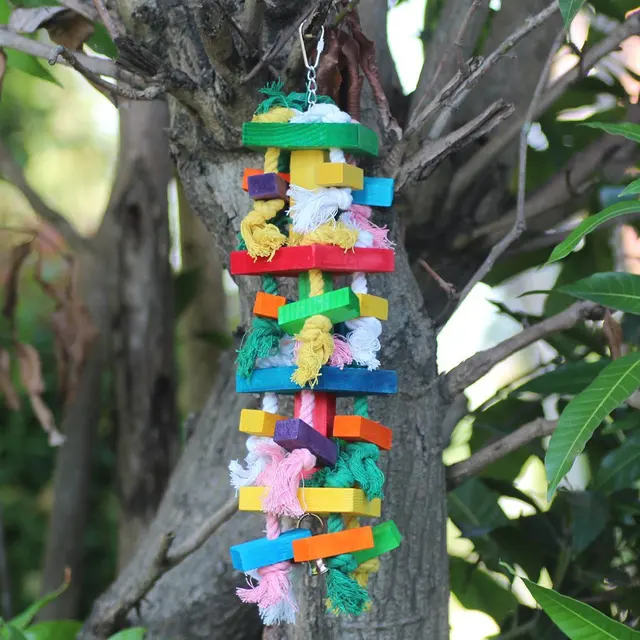 Toy Bird Large and Medium-Sized Macaw Nibbling Toy Wooden Color Toy Birds Supplies Parrot Swing 5