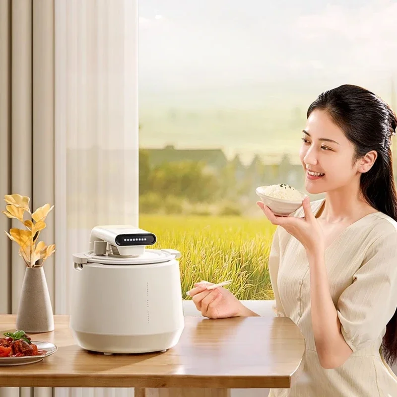 도자기 압력 Zhenxiang 순수 올 세라믹 라이너 밥솥, 가정용 밥솥, 2L 하늘 장작 쌀 올라, 코팅되지 않은 쌀 