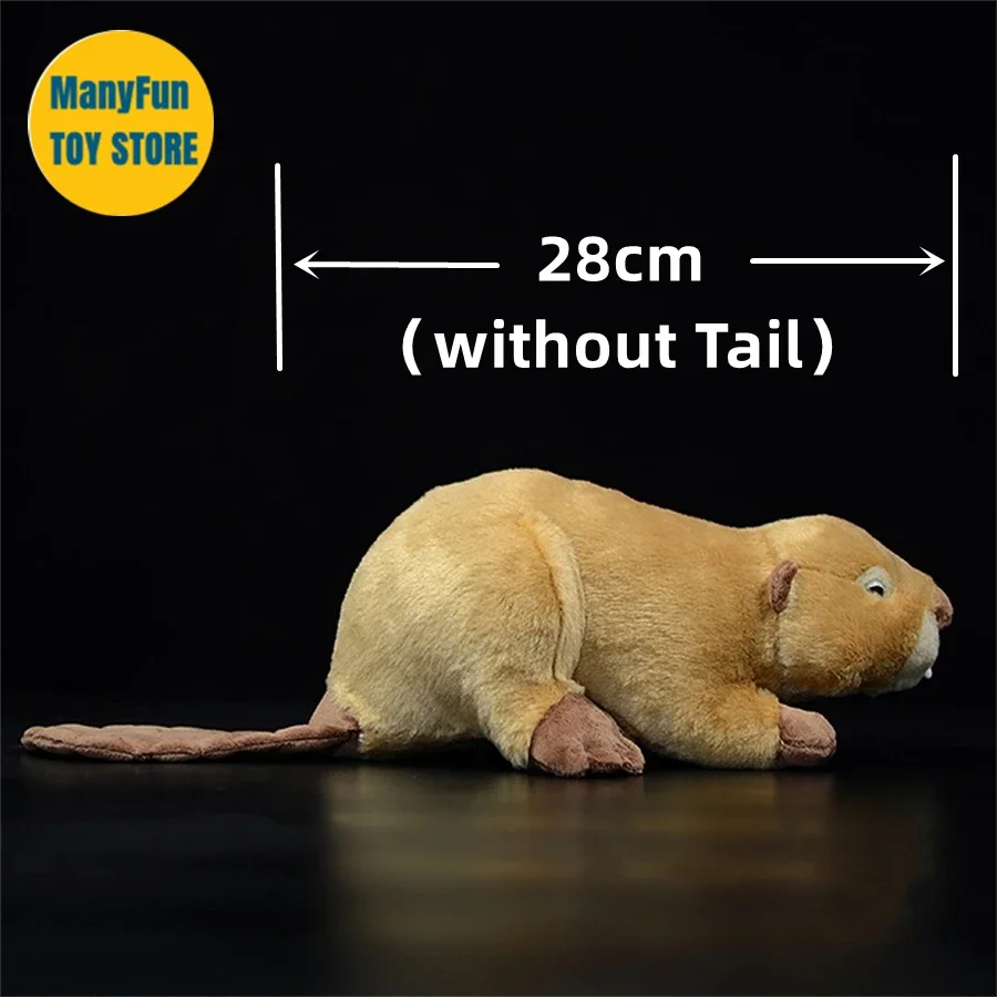 Beaver High Fidelity Anime Cute Otter Plushie Lutra Plush Toys Lifelike Animals Simulation Stuffed Doll Kawai Toy Gifts For Kids 2