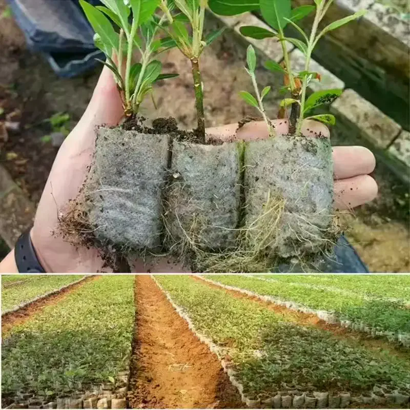 100개 생분해성 종자 육묘 가방, 부직포 식물 재배 가방, 패브릭 묘목 화분 식물 주머니, 가정 정원 용품