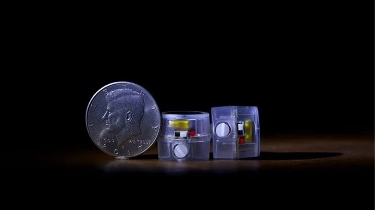 TCC 프리젠트: 멘탈 톰 매기의 템포 엘프 - 멘탈리즘 마술 도구, 클로즈업 일루전, 전문 마술사, 스트리트 마술 트릭