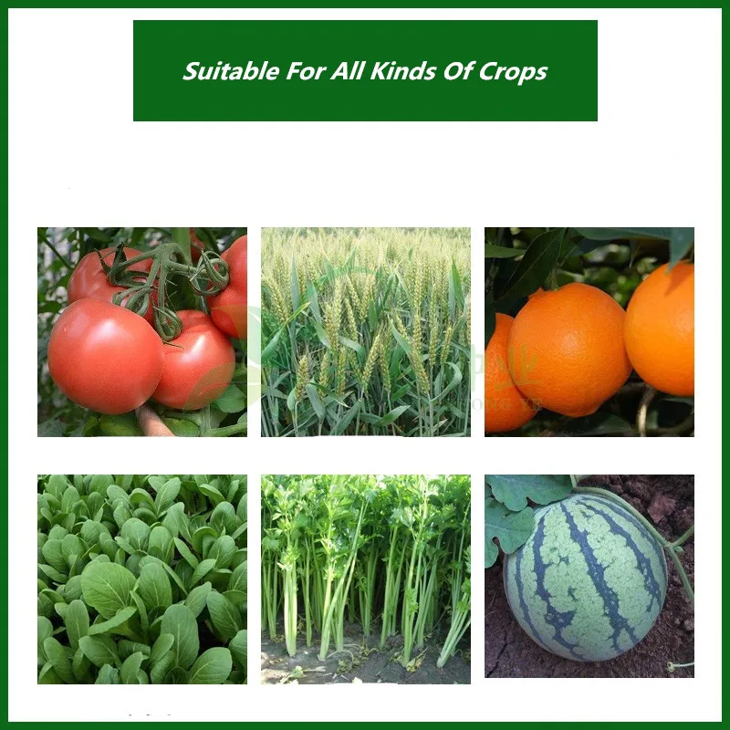 30g Fast Rooting Powder Rooting Hormone Powder Improve Flowering Cutting Survival Rate Plants Grow Cut Dip Fertilizer root stimulator plant fertilizer powder
