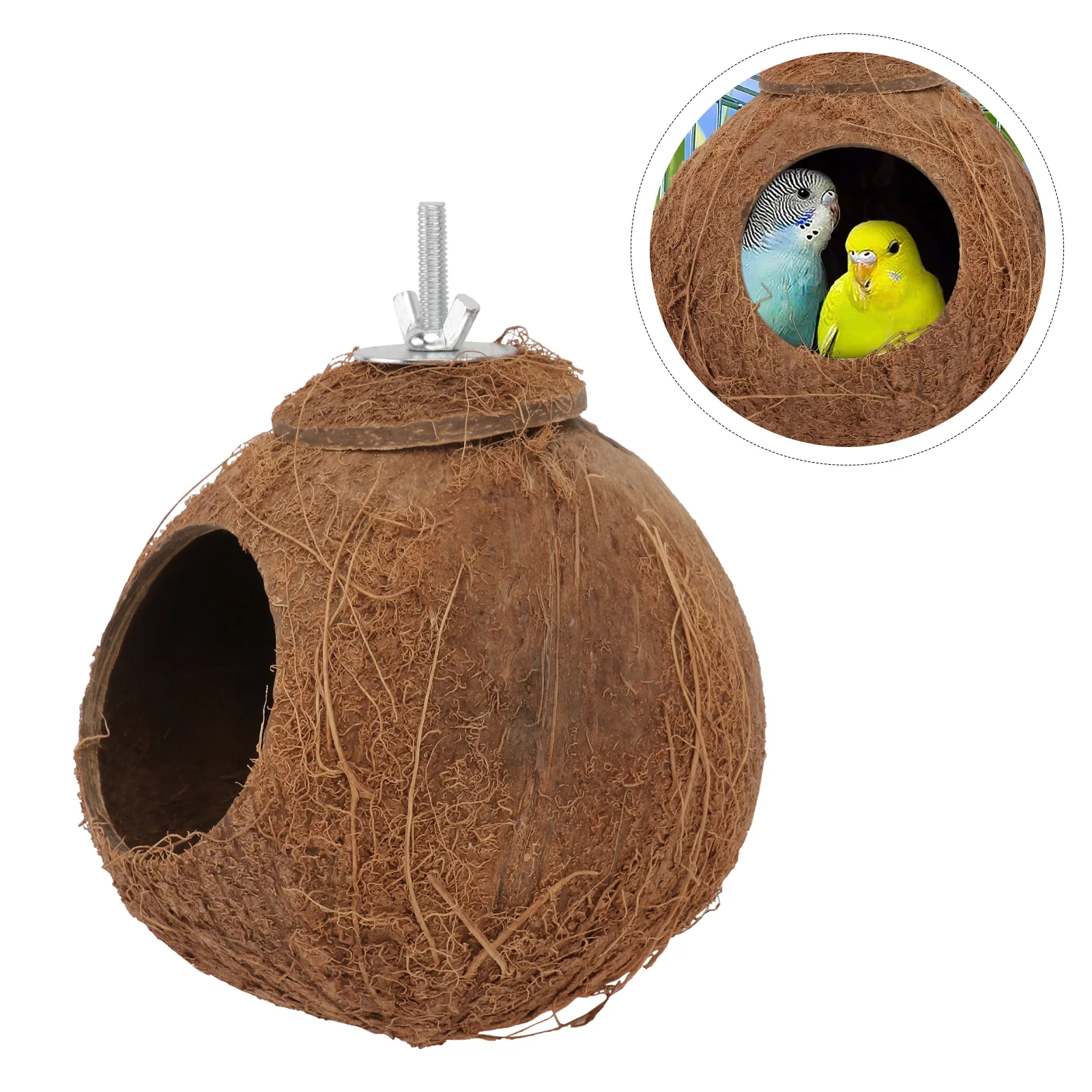 

Gecko Coconut Shell Bird Nest Outdoor Playset Reptisoil Stainless Steel Birds Biting Toy
