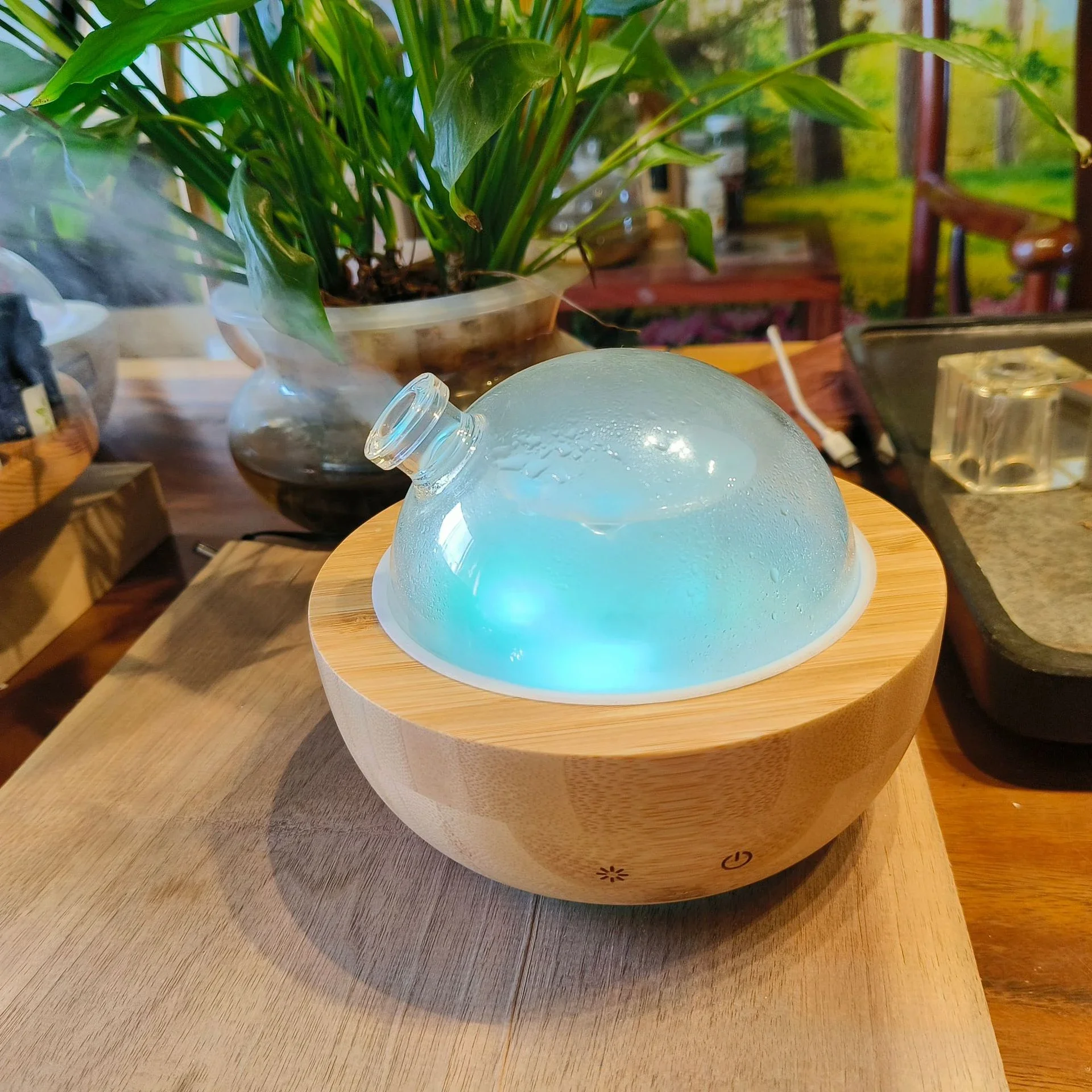 Essential O Diffuser With Real Wood Base, 200ml Ultrasonic Aromatherapy Diffuser, Glass Dome Humidifier, LED Light_voghion.com