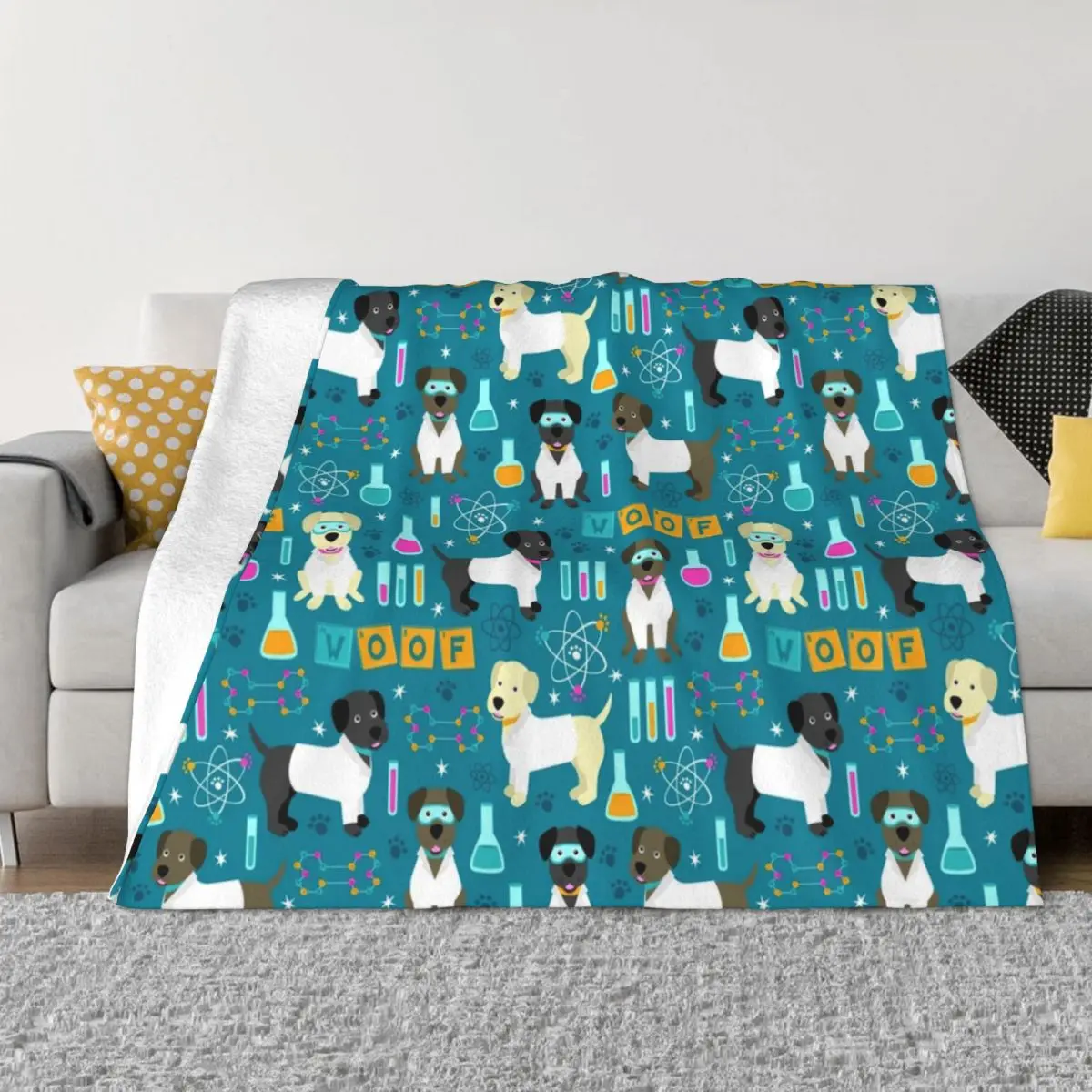 ����� ���� ���� ��Ʈ ���, �ö��� ������ ���, �����, ���� ���, �ſ� �ε巴�� ������ ħ�뺸