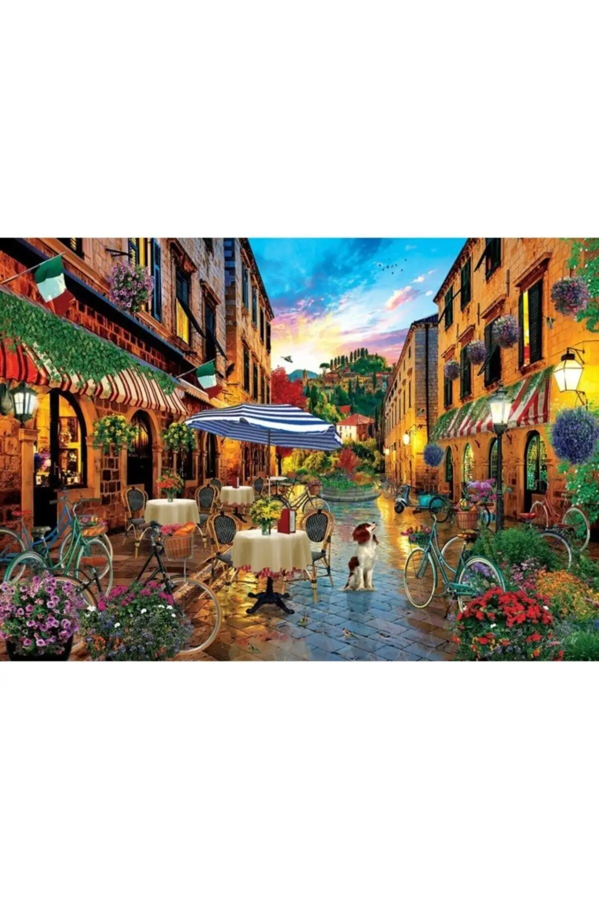 

Hobby & Fun Living in Italy, 2000 Track Puzzle Playgroups