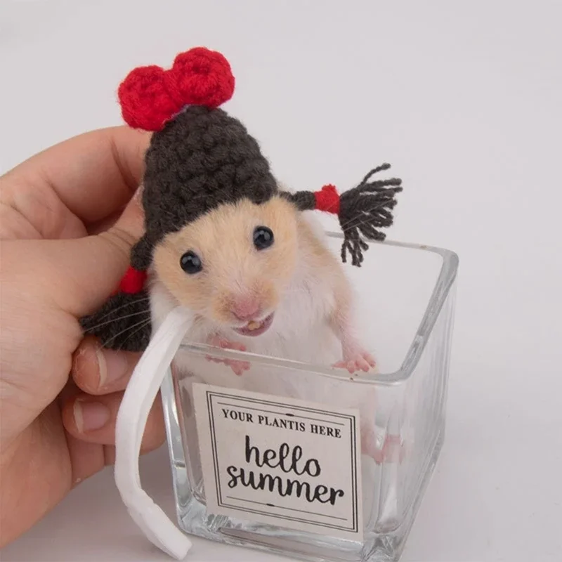 Hamster Costume Fruit Rabbit Hat with Ears for Festival Decoration Handwoven Cap