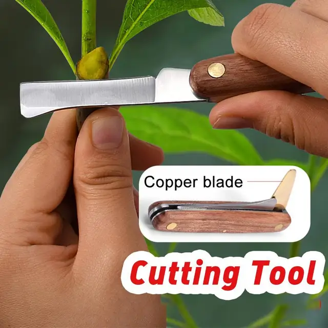 Oltószerszámok Összecsukható Oltási Metszéskés Professzionális Acél Fából Készült Oltás Oltó Vágó Kés Kert Ha O9F3 - Image 3