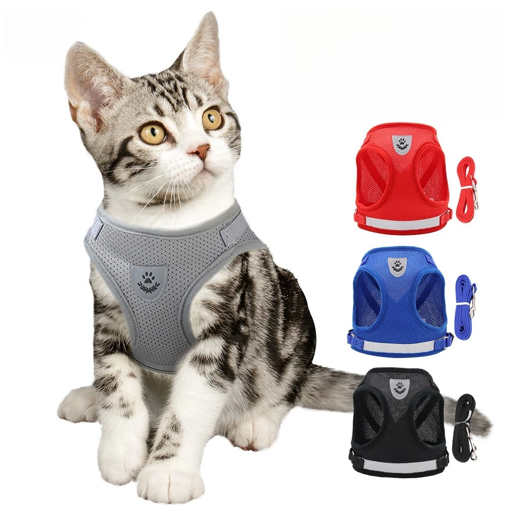 Reflective Mesh Pet Harness Breathable Summer Dog Vest Harness with 1.2M Leash for Small Dogs