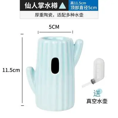 Cactus Kettle 4