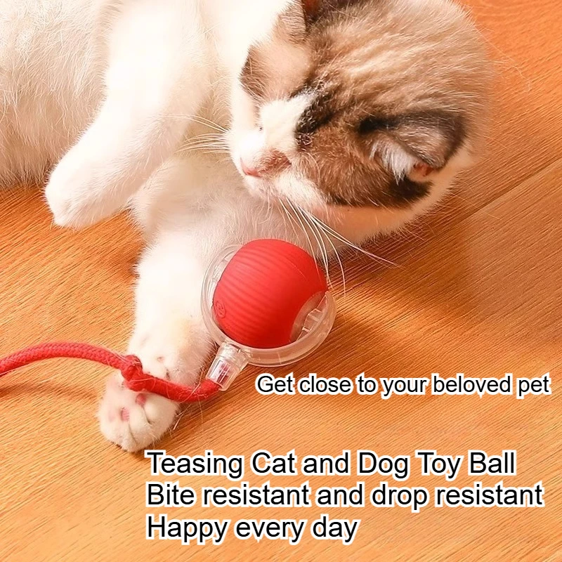 Durable Pet Toys for Dogs And Cats - Teaser Ball with Rope Jumping Ball Thud Toy