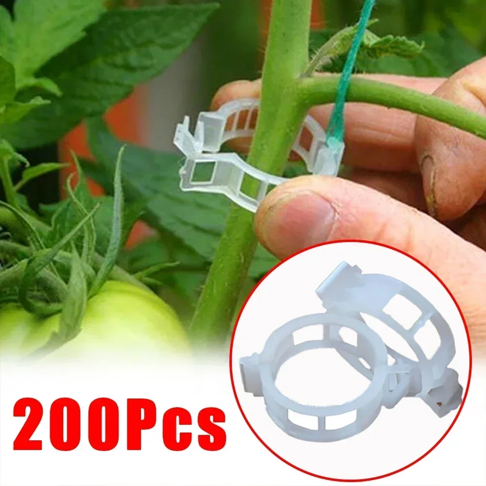 

Plastic Plant Clips for Climbing Plants Clear Plant Fixing Clip,Tomato Trellis Clips Plant Support Clips Vine Fixing Clip Garden