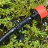50-200PCS 1/4'' C-type Hook Fixed Stem Support Holder Stakes for 4/7mm Hose Flowerpot Drip Irrigation Fitting Greenhouse 3