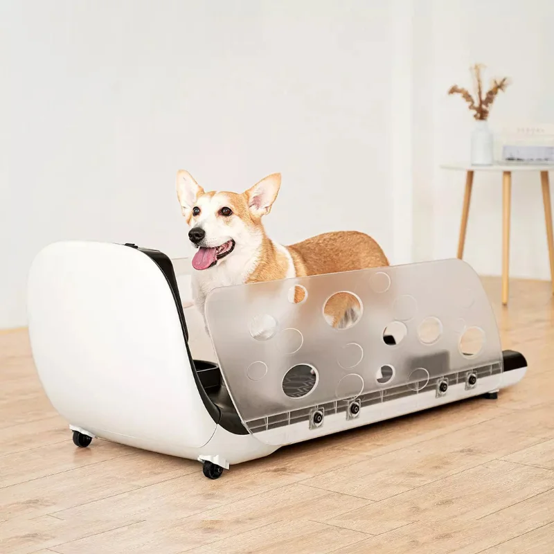 Ly Treadmill For Dog Water For Sale Pet Treadmill Cheap Dog