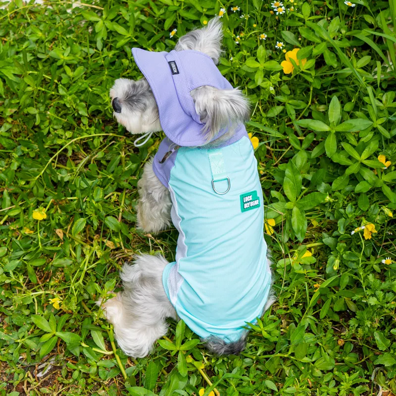 Pet Sun Hat Uv Protection Breathable Mesh Cap For Dogs And Cats_voghion.com
