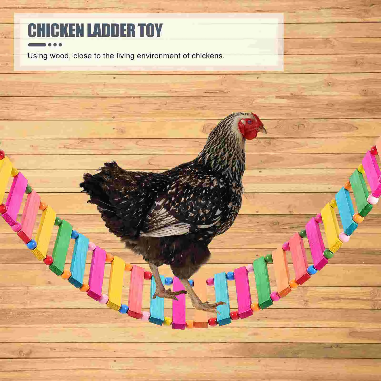 Chicken Ladder 4