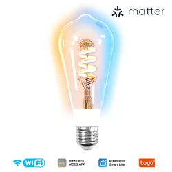 Smart Edison LED Bulb with RGB and Adjustable White, Voice - Control Enabled - Matter ST64 Bulb