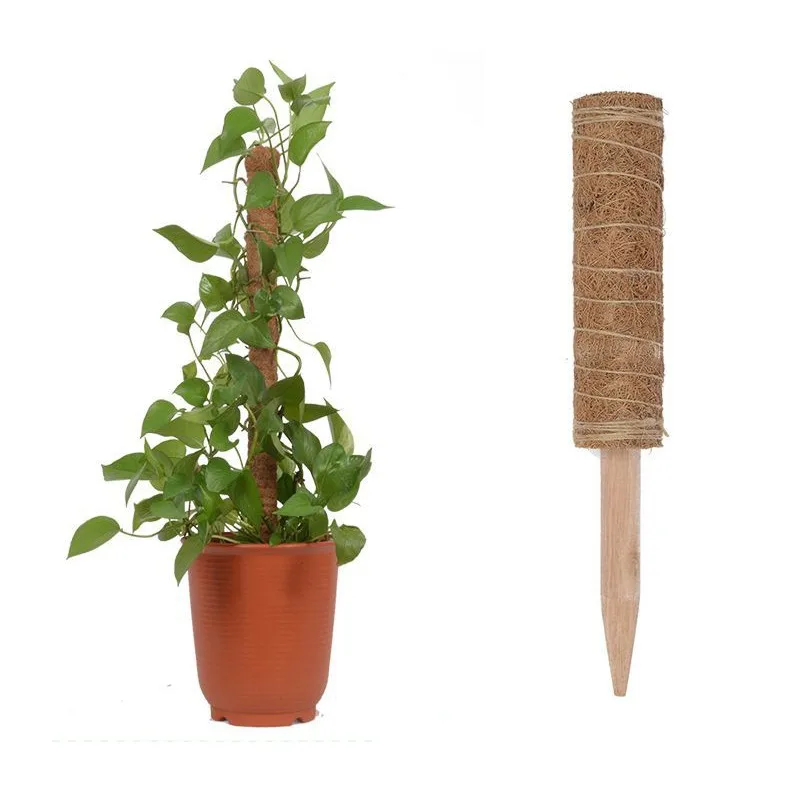 Plants Climbing Stick Creeper Trelli Frame Support Coir Totem Pole