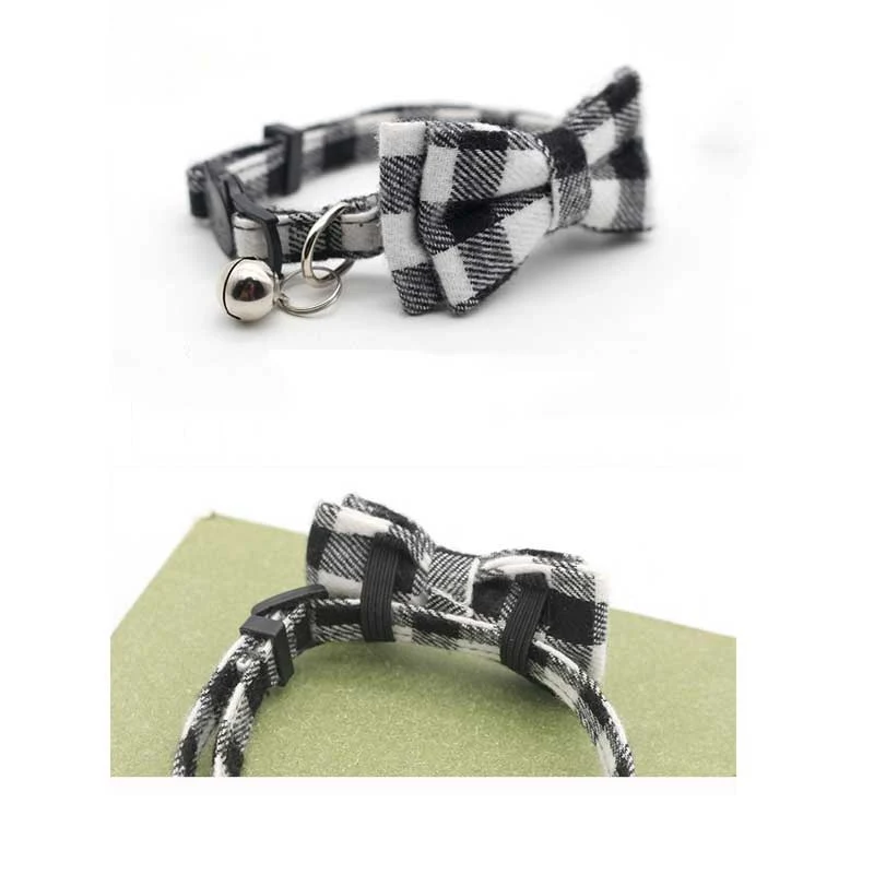 pajarita gato.jpg_.webp