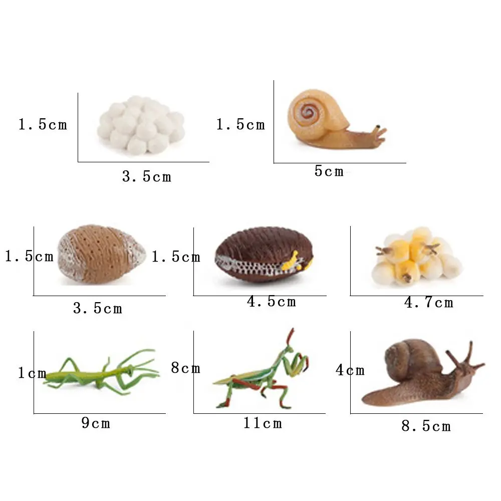Realistic Early Educational Kids Cognitive Snail Growth Cycle Life Cycle Figures Cycle Mantis Figurine Praying Mantis Toy