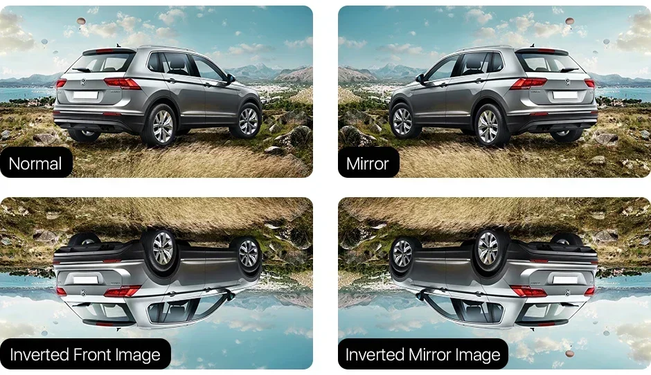 Camera image flip example