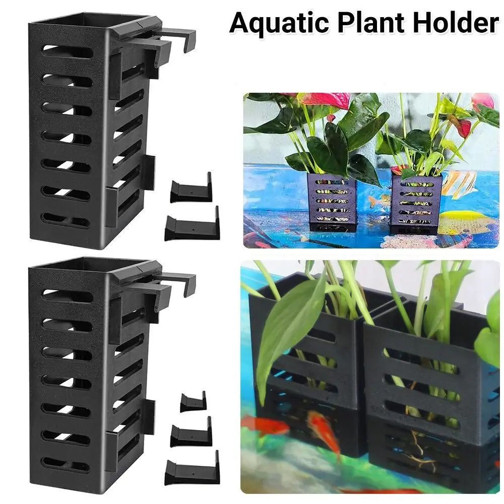 Hydroponic Glass Plant Holder and Display Stand
