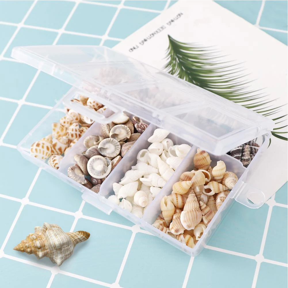 2 Boxes Wedding Beach Decor Crafts Charms Tank Tiny Shells Sea Snails Party DIY Natural Spiral Shell Handicraft Decoration natural shell ornaments