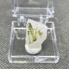 Natural green tourmaline pillars mineral crystal specimens + box size 3.4 cm + healing quartz crystals and stones rock gemstone 4