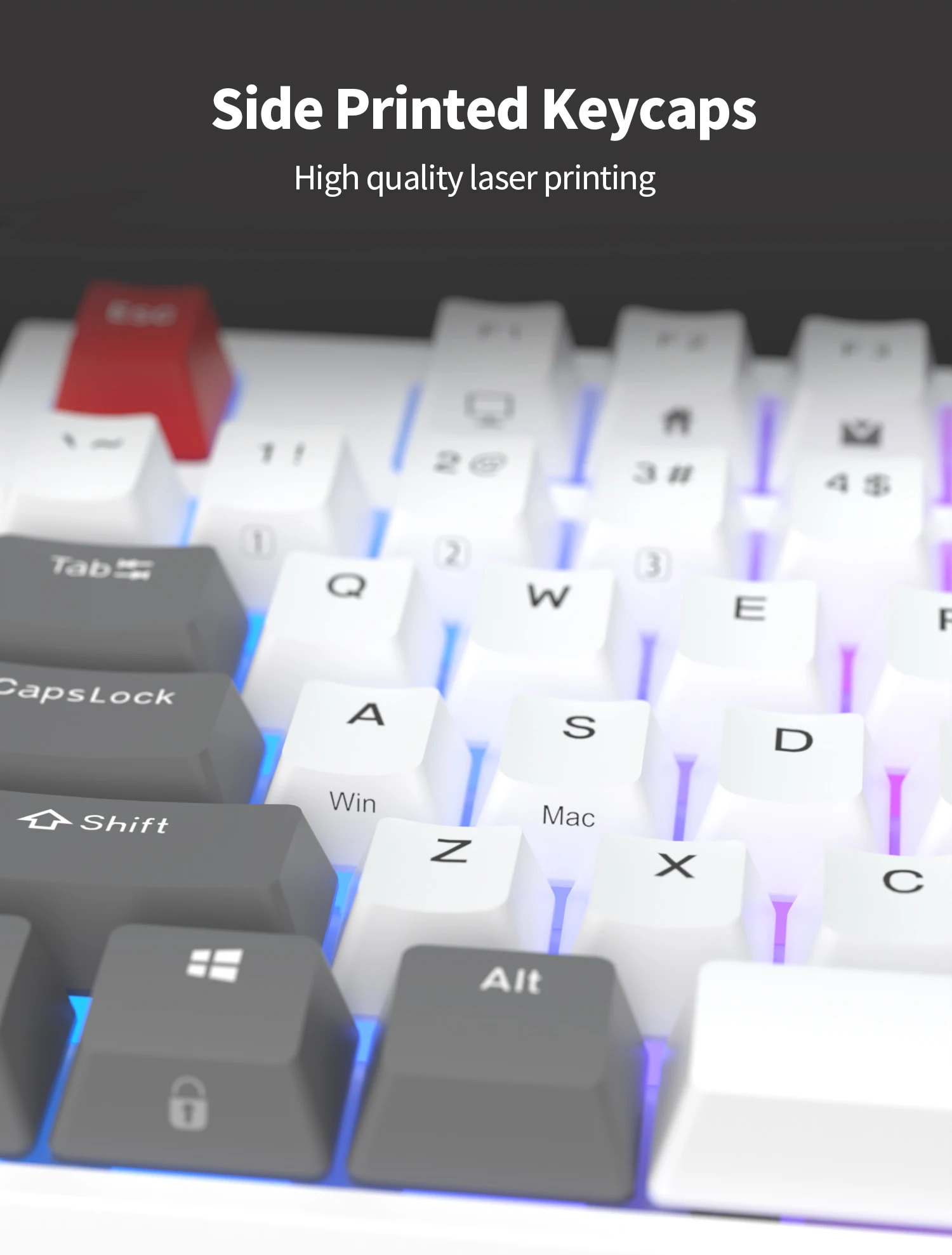 RK R87 - Bàn phím cơ RK R87 (Led RGB, Hotswap)