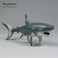 Shark-1