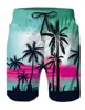 Funny Animal Dinosaur Beach Shorts Pants Men 3D Printing Surfing Board Shorts Summer Hawaii Swimsuit Swim Trunks Cool Ice Shorts 6