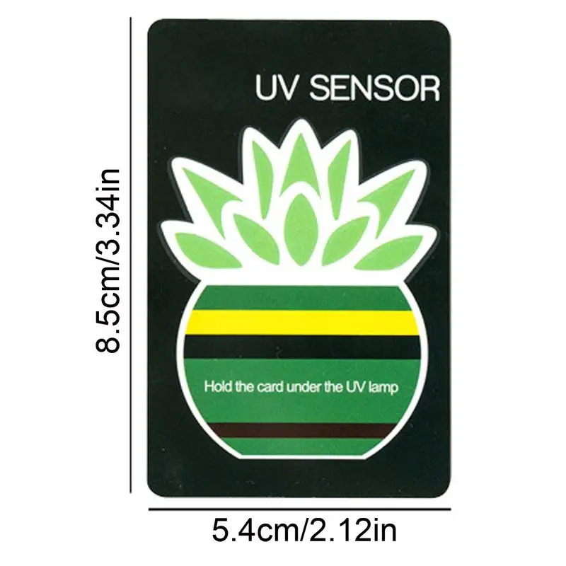 Crawl Pet Sunlight Radiation Measuring Card